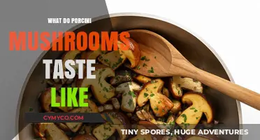 Exploring the Rich, Earthy Flavor Profile of Porcini Mushrooms