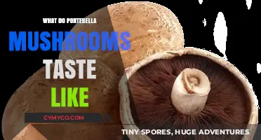 Exploring the Rich Flavor Profile of Portobello Mushrooms