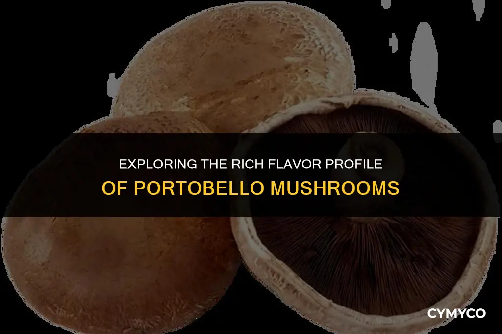 what do portebella mushrooms taste like