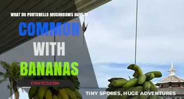 Unveiling the Surprising Similarities Between Portobello Mushrooms and Bananas