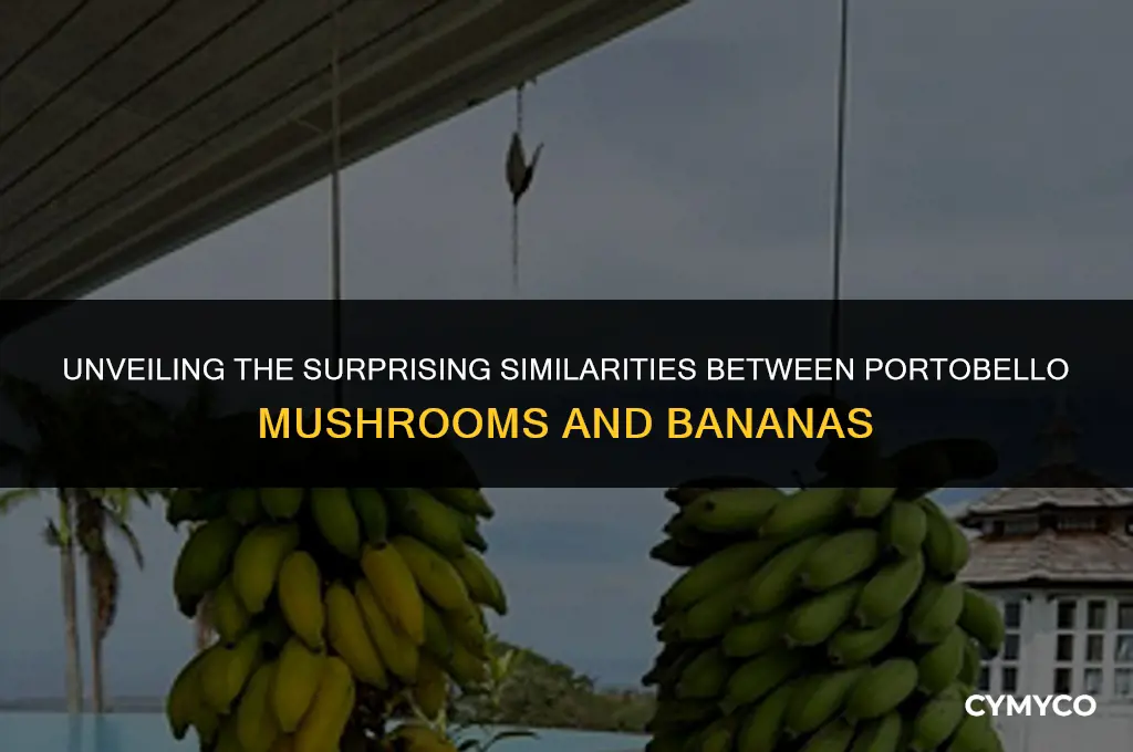 what do portobello mushrooms have in common with bananas