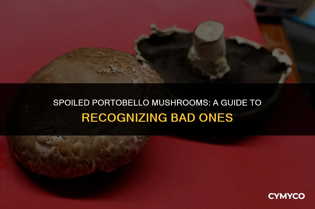 what do portobello mushrooms look like when they go bad