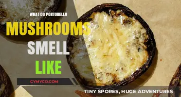 Exploring the Earthy Aromas of Portobello Mushrooms
