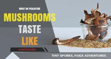 Exploring the Flavor Profile of Psilocybe Mushrooms: A Guide