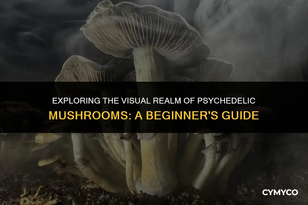 what do psycadelic mushrooms look like