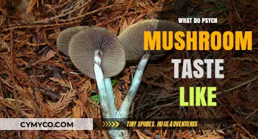 Exploring the Flavor Profile of Psychedelic Mushrooms