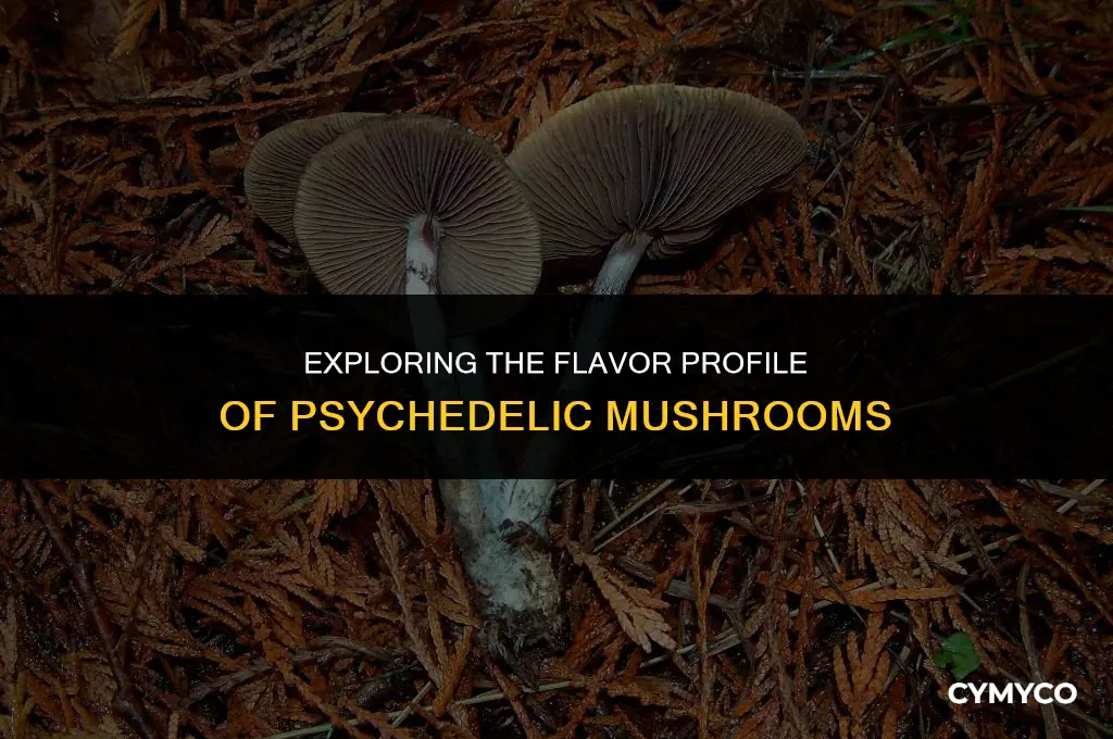 what do psych mushrooms taste like