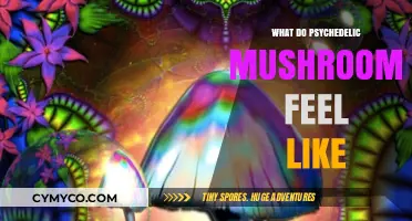 Exploring the Sensations: A Journey Through Psychedelic Mushrooms