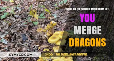 Unlocking the Secrets of Wonder Mushrooms in Merge Dragons