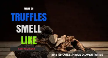 Unveiling the Mystique: What Do Truffles Really Smell Like?