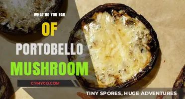 Exploring the Earthy Delights of Portobello Mushrooms: A Culinary Journey
