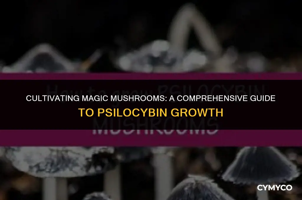 what do you need to grow magic mushrooms
