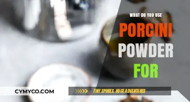 Exploring the Versatility of Porcini Powder in Gourmet Cooking