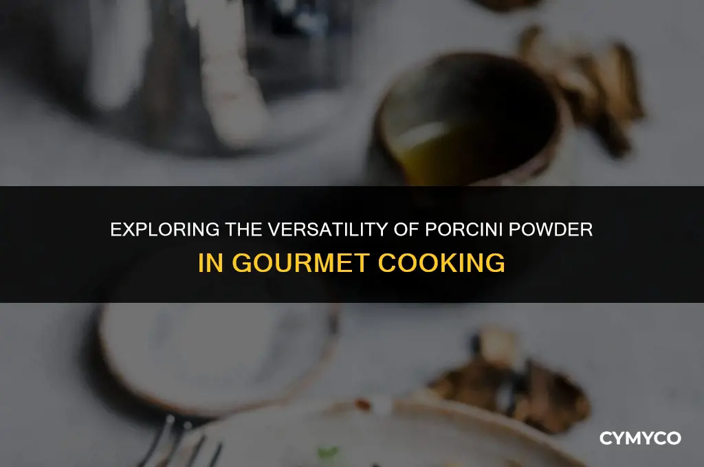 what do you use porcini powder for