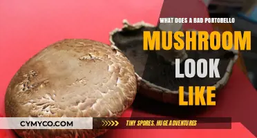 Identifying Spoiled Portobello Mushrooms: A Visual Guide