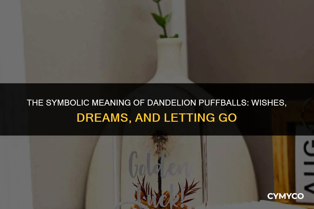 what does a dandelion puffball represent