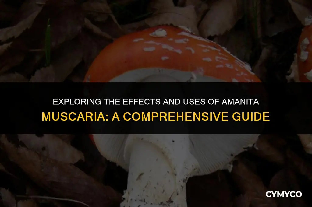 what does amanita muscaria do