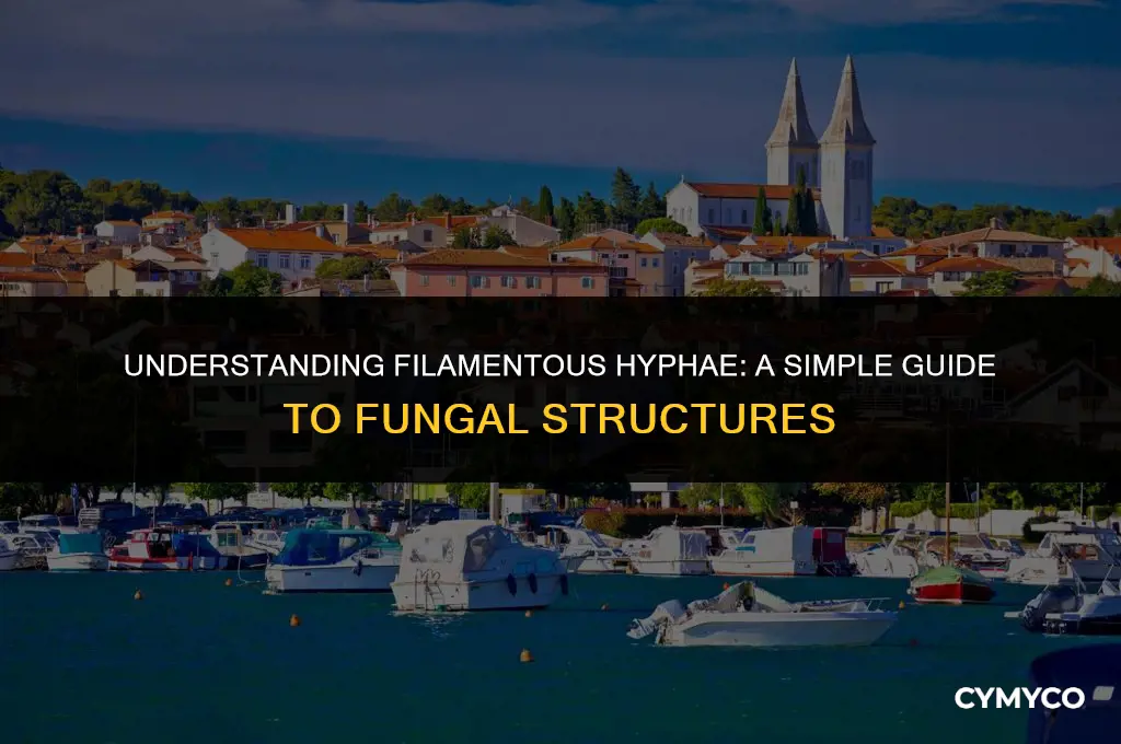 what does filamentous hyphae mean