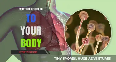 Exploring the Impact of Fungi on Human Health: A Comprehensive Guide