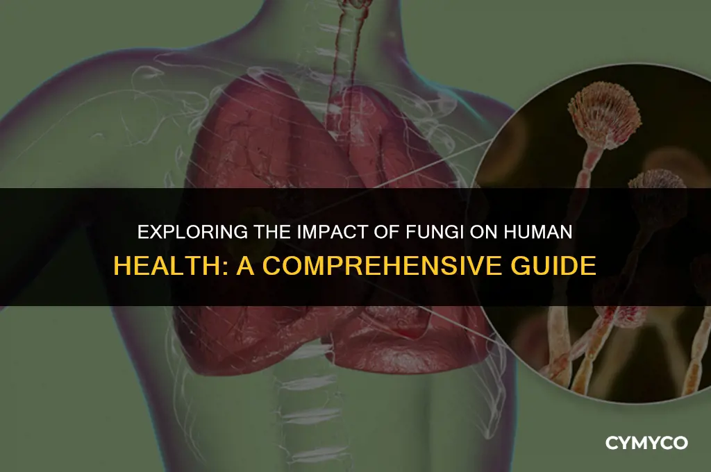 what does fungi do to your body