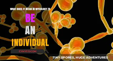 Exploring Individuality in Mycology: A Deep Dive into Fungal Identity