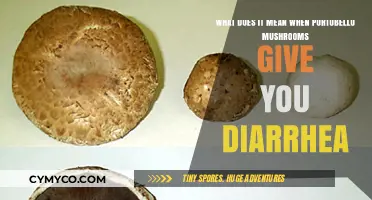 Exploring the Link: Portobello Mushrooms and Digestive Discomfort