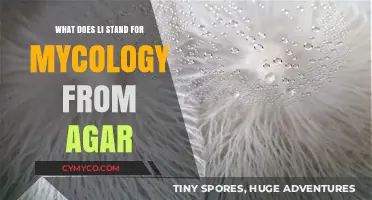 Exploring Mycology: What Does 'Li' Stand for in Agar Cultivation?