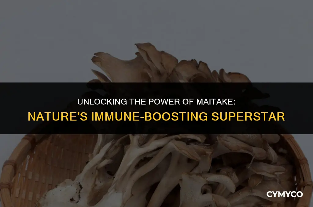 what does maitake do