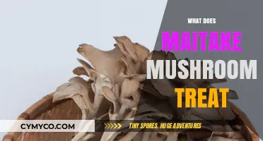 Exploring the Medicinal Benefits of Maitake Mushrooms: A Comprehensive Guide