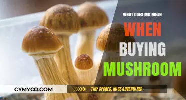 Decoding the Magic: Understanding 'MD' in Mushroom Purchases