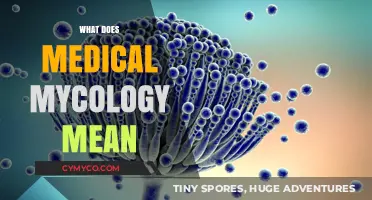 Exploring Medical Mycology: Understanding the Study of Fungi in Medicine