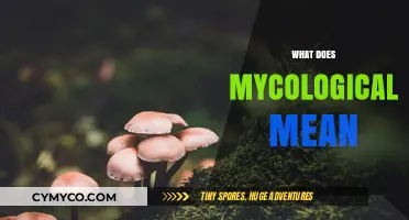 Exploring the Fascinating World of Mycology: What Does Mycological Mean?
