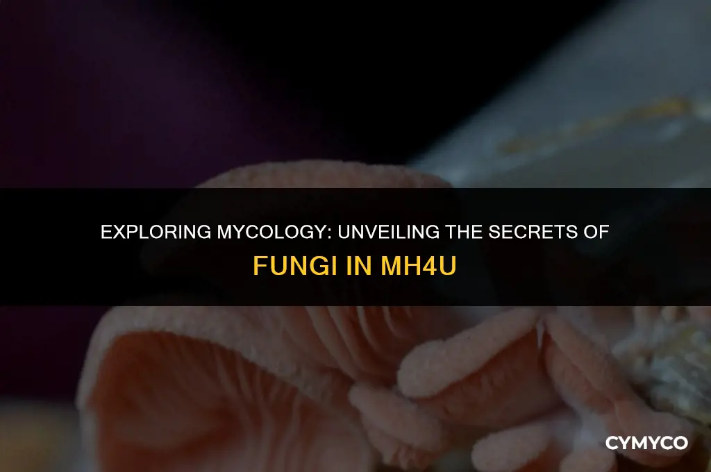 what does mycology do mh4u
