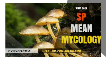Exploring the Fascinating World of Mycology: What Does 'SP' Mean?