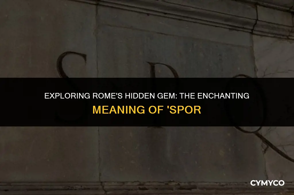 what does spor mean in rome