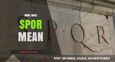 Decoding the Meaning of 'Spor': A Comprehensive Guide