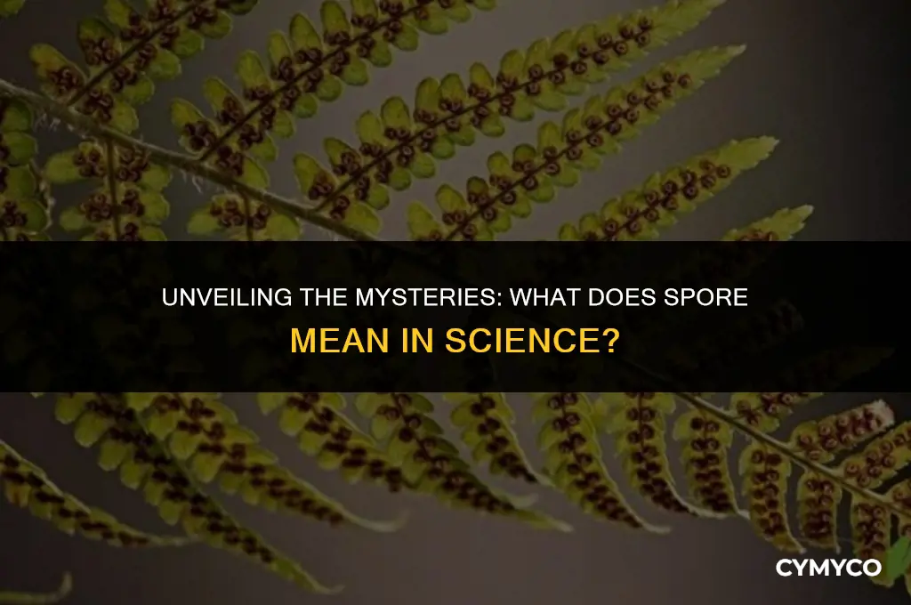 what does spore mean