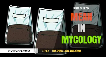 Exploring the Mycological World: Unveiling the Meaning of 'Tek
