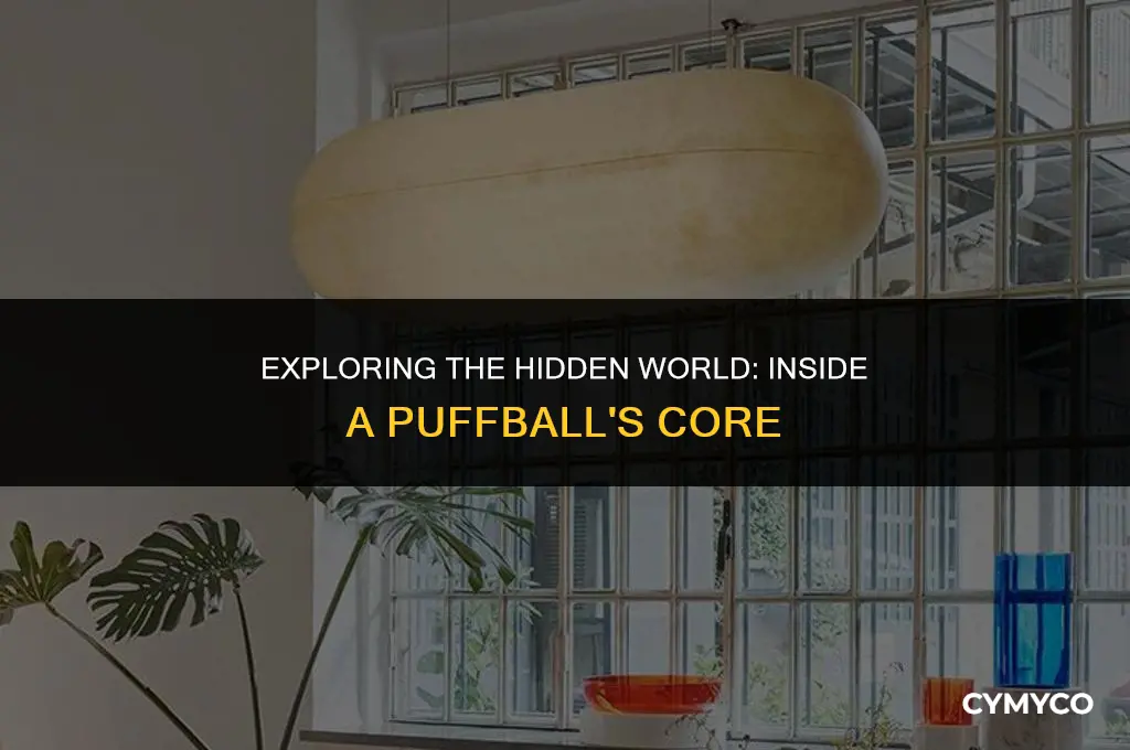 what does the inside of a puffball look like