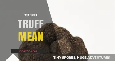 Decoding the Slang: What Does 'Truff' Really Mean?