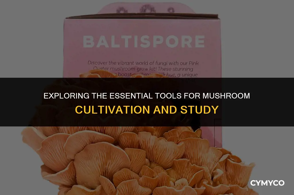 what equipment do you need for mycology