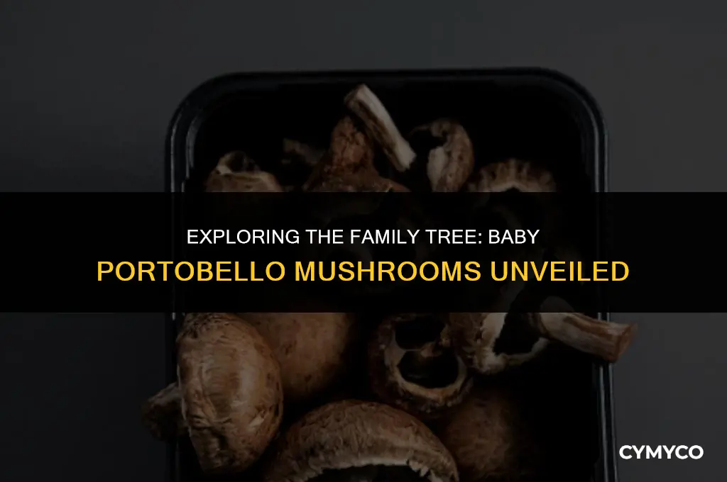 what family is the s a baby portobello mushroom