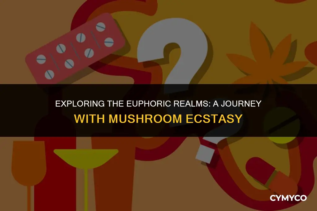 what feeling do you get when you take mushroom ecstasy