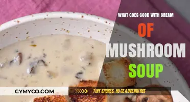 Delicious Pairings: What Goes Perfectly with Cream of Mushroom Soup