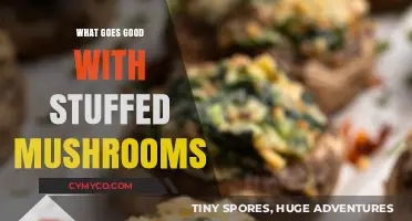 Delicious Pairings: What to Serve with Stuffed Mushrooms