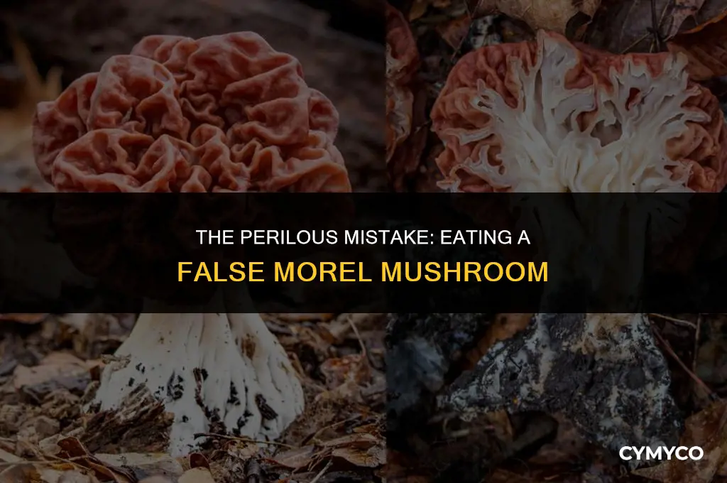 what happens if you eat a false morel