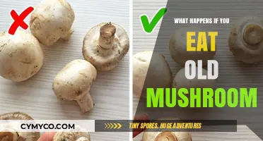 The Risky Business of Dining on Aged Fungi: A Cautionary Tale