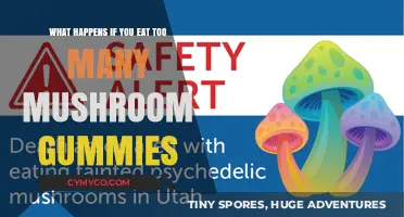 Overindulging in Mushroom Gummies: Potential Effects and Safety Tips