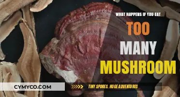 Mushroom Overload: Exploring the Effects of Excessive Consumption