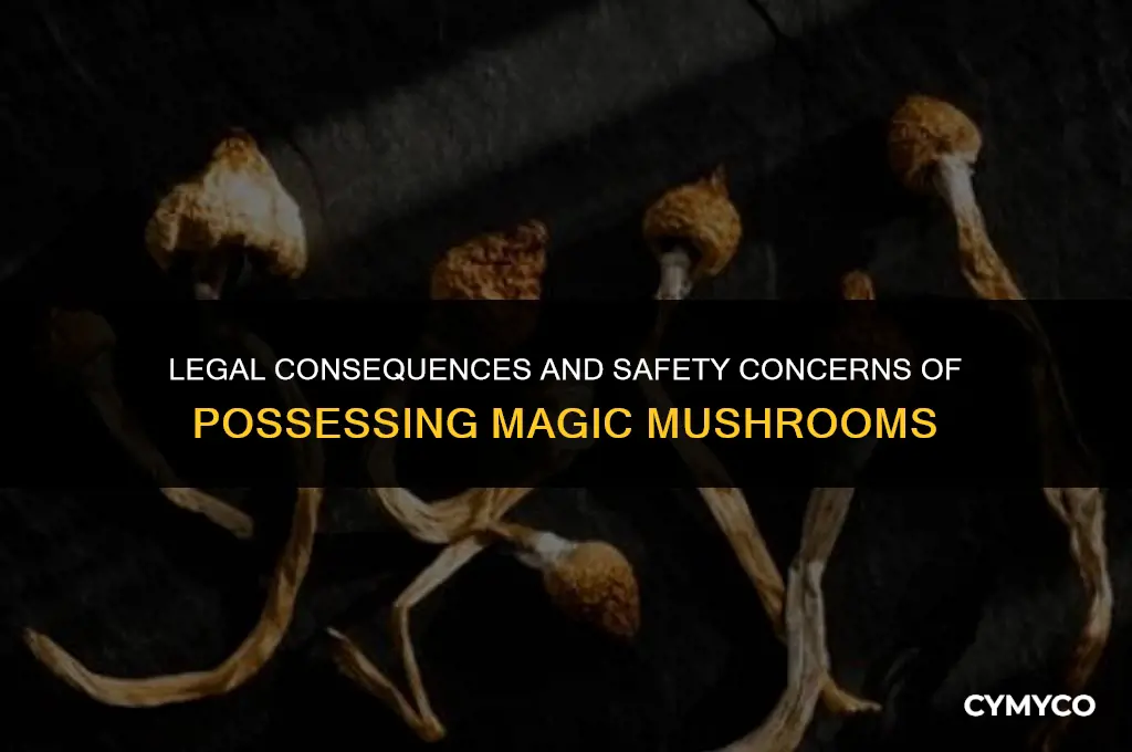 what happens if you get caught with magic mushrooms